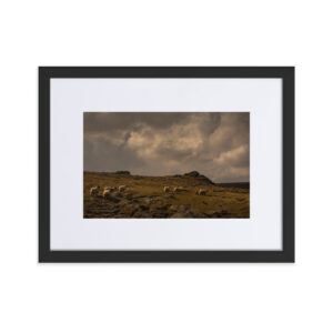 Matte Paper Framed Poster With Mat