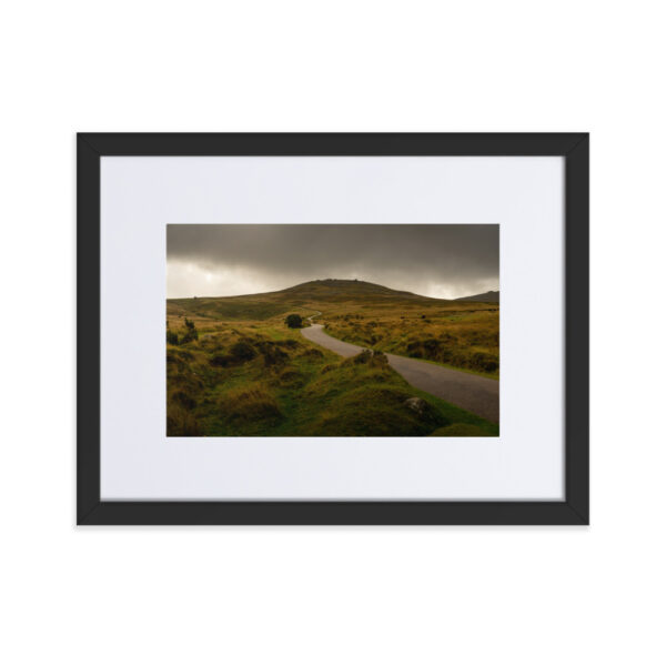 Matte Paper Framed Poster With Mat