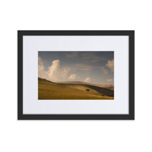 Matte Paper Framed Poster With Mat