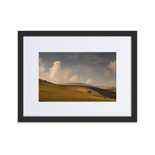 Matte Paper Framed Poster With Mat