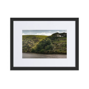 Matte Paper Framed Poster With Mat