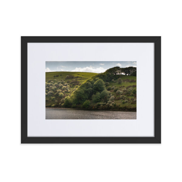 Matte Paper Framed Poster With Mat