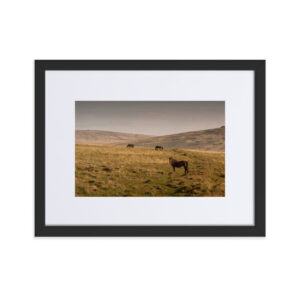 Matte Paper Framed Poster With Mat