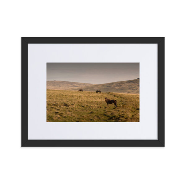 Matte Paper Framed Poster With Mat