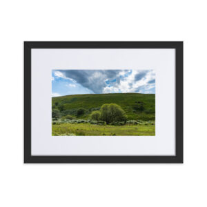 Matte Paper Framed Poster With Mat