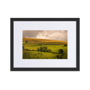 Matte Paper Framed Poster With Mat