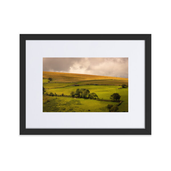 Matte Paper Framed Poster With Mat