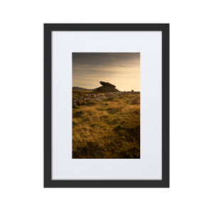 Matte Paper Framed Poster With Mat