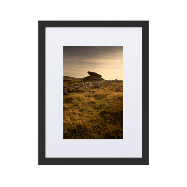 Matte Paper Framed Poster With Mat