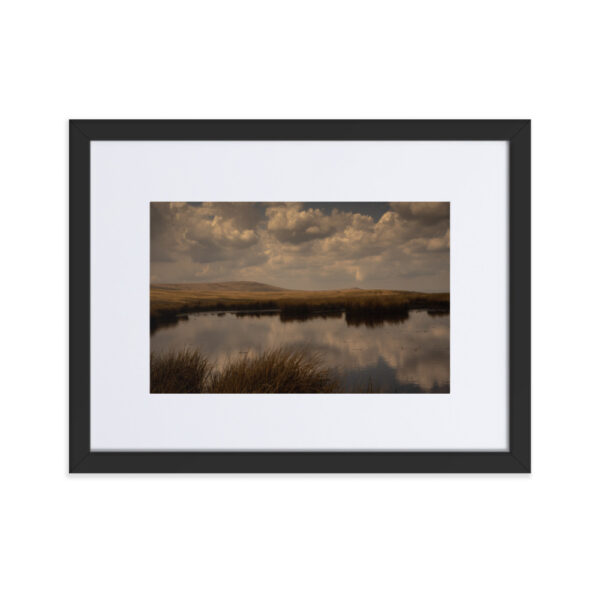Matte Paper Framed Poster With Mat