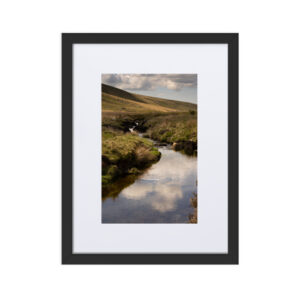 Matte Paper Framed Poster With Mat